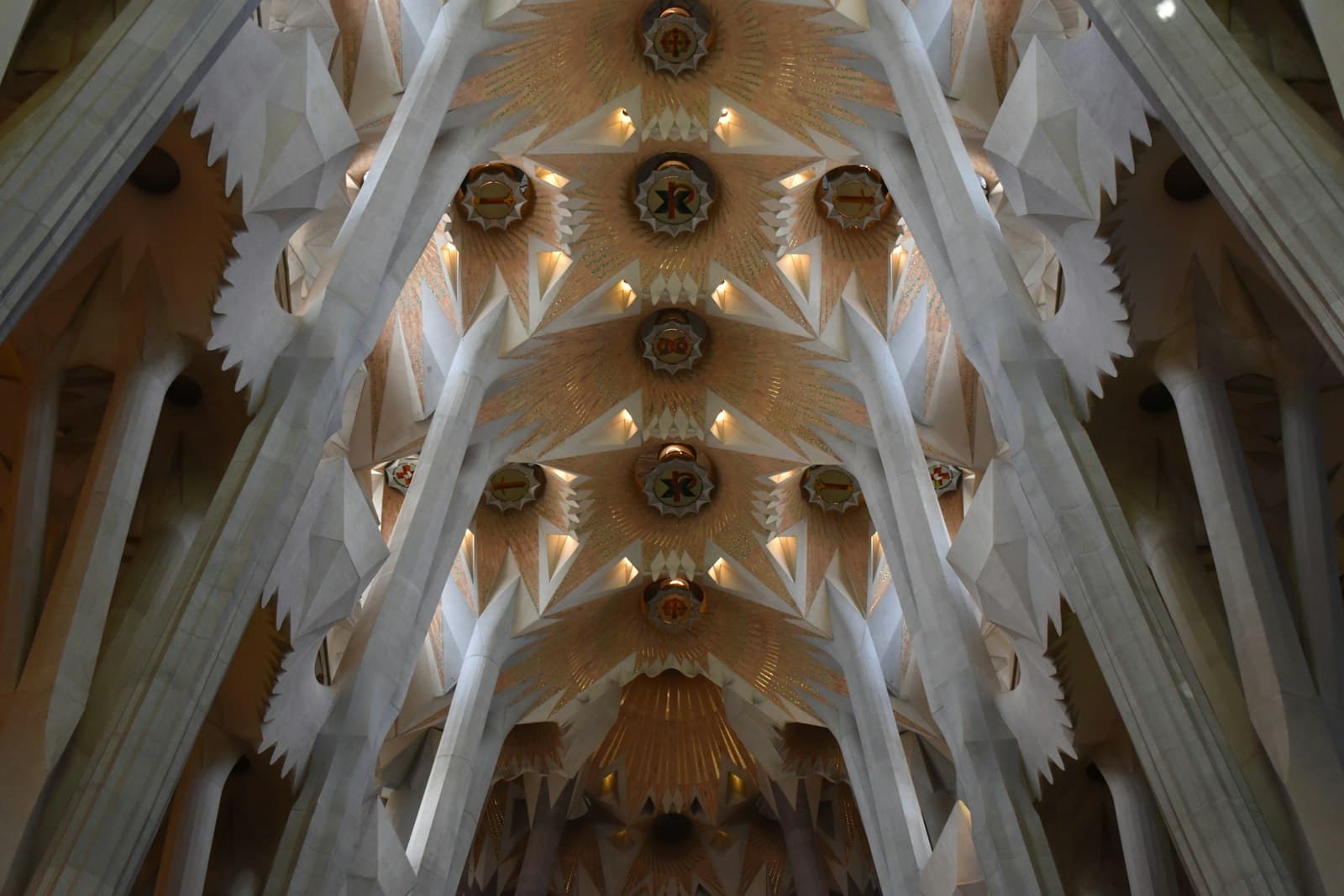 The vaulted ceiling of the Sagrada Familia in Barcelona with branching stone columns